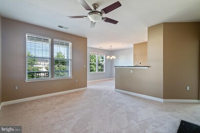 22611 Blue Elder Terrace unit 202, Ashburn, VA 20148 - photo 2