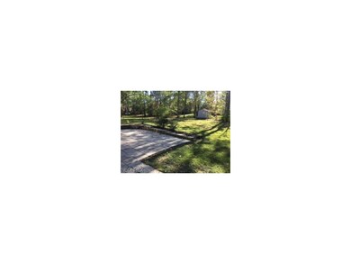 View of the patio and backyard