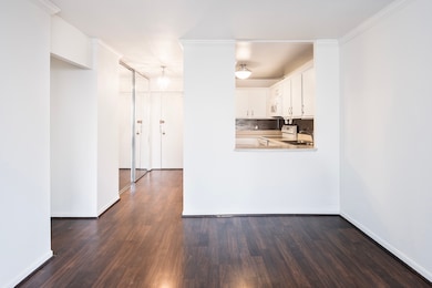 Park Tower Market unit 1608, Chicago, IL 60640 - photo 7