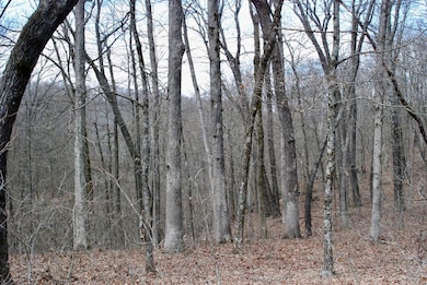 0 Tbd Ar-16, Pettigrew, AR 72752 - photo 2