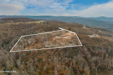 431 Bald Knob Mtn & Cummings Cove Rd, Doyle, TN 38559 - photo 3