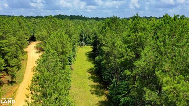 0 Attala Rd 3217 New Salem Rd, Kosciusko, MS 39090 - photo 5