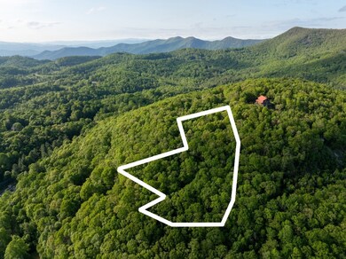 TBD Eastside Duck Mountain Rd, Scaly Mountain, NC 28775 - photo 5