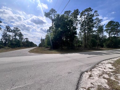 4206 E 10th St, Lehigh Acres, FL 33972 - photo 2