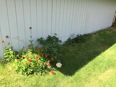 maltese cross_peonies