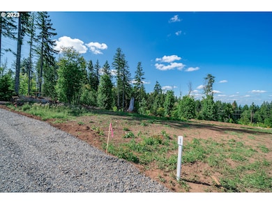 0 S Silver Lake Rd unit 1 23501672, Castle Rock, WA 98611 - photo 6