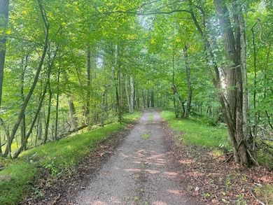 8038 Lost Lake Rd unit 220, Lake Shore, MN 56468 - photo 7