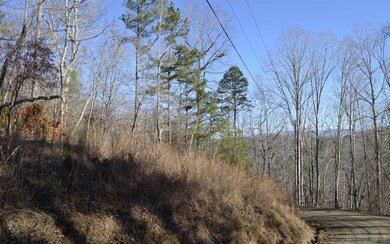 Additional View