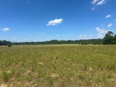 0 Rocky Knob Rd unit 22483768, Sylvania, GA 30467 - photo 2