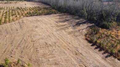 4 S Carolina 6, Cross, SC 29436 - photo 5