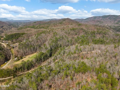 Tr1-4 Mossy Cove Way, Sevierville, TN 37876 - photo 2