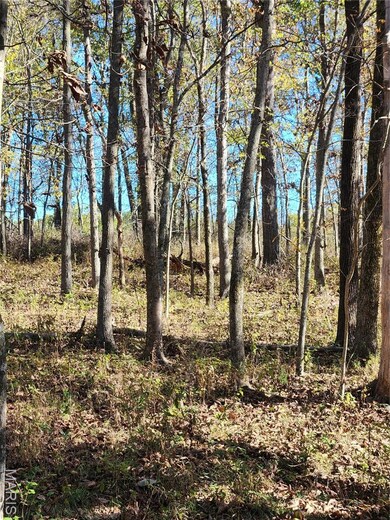 0 County Road 197 (5+ - Acres) unit MIS25074297, Montgomery City, MO 63361 - photo 2