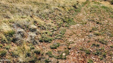 20240505_134106~4