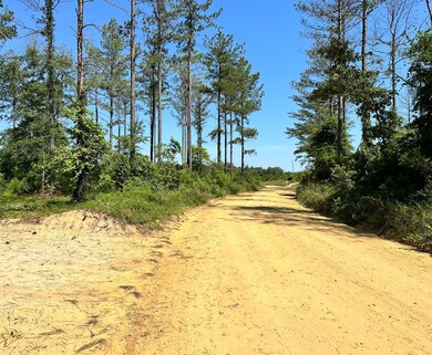 Burke Lots 7