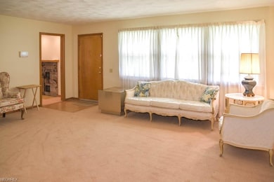 Sun-filled living room.