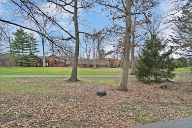 View from deck