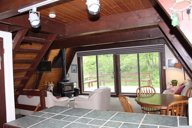 76 Pine Ln, Hunter, NY 12442 - photo 5