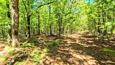 169378 Indian Hwy, Kiamichi Christian Mission, OK 74549 - photo 7