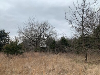 TBD Isbon- Tract 1, Whitesboro, TX 76273 - photo 5