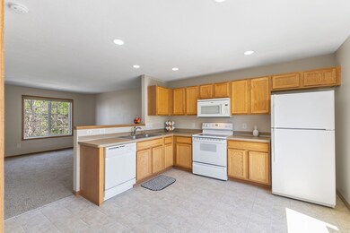 4964 Emmit Dr N unit 3, Hugo, MN 55038 - photo 2