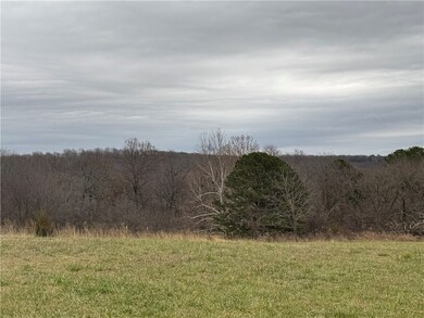 Tract B-1 Nicewarner Rd, Lincoln, AR 72744 - photo 6