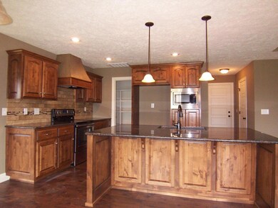 1704 E Chickamauga Dr, Republic, MO 65738 - photo 6