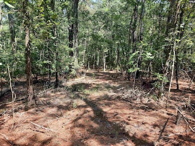 569 River Rd, Salley, SC 29137 - photo 5