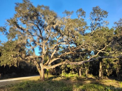 0 Octavia Ln unit 850173, Webster, FL 33597 - photo 5