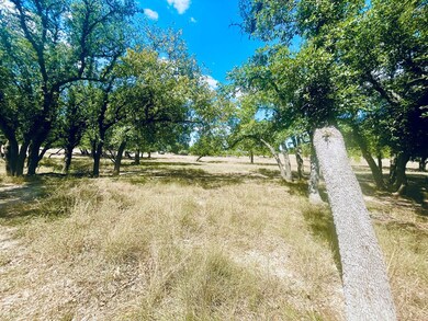 233 Towhead Valley Rd, Johnson City, TX 78636 - photo 6