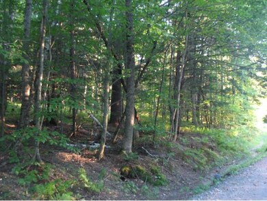 5 Norrie Davies Rd, Cavendish, VT 05142 - photo 2