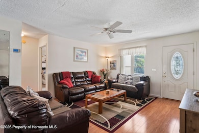 photos_high_resolution_008_Living_Room