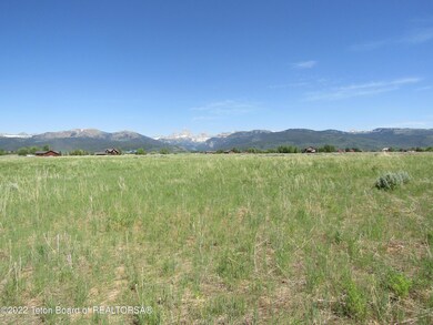 7 Early summer view East