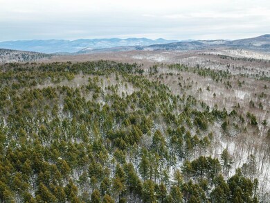 2155 Monument Hill Rd, Castleton, VT 05735 - photo 5