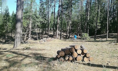 13279 Thoroughbred Loop, Grass Valley, CA 95949 - photo 4