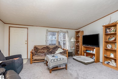 3700 N Brinton Rd, Weidman, MI 48893 - photo 4