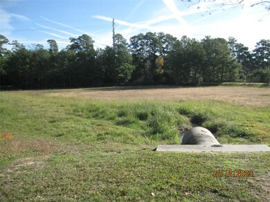 30622 Martens Rd, Tomball, TX 77375 - photo 5