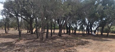 2709 S Main St, Weatherford, TX 76087 - photo 6