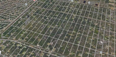 1106 W 14th St, Lehigh Acres, FL 33972 - photo 4