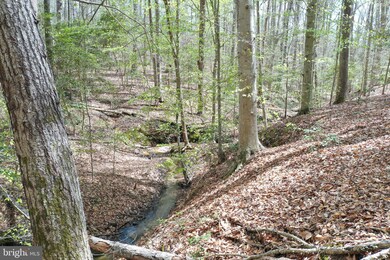 0 Reservation Ln, Reedy Church, VA 22546 - photo 2