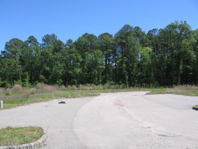 00 Firestone Rd, Jacksonville, FL 32210 - photo 2