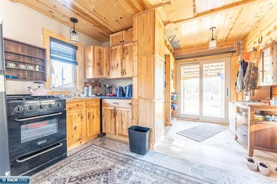 1346 Bear Head State Park Rd, Ely, MN 55731 - photo 4