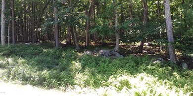 792 Tink Wig Dr, Lackawaxen Township, PA 18428 - photo 3