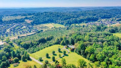 2205 W Gallaher Ferry Rd, Hardin Valley, TN 37932 - photo 2