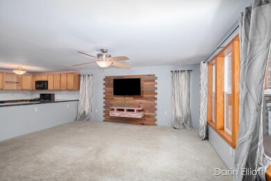 411 Hill St, Ionia, MI 48846 - photo 5