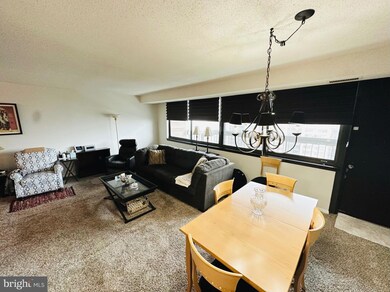 5501 Seminary Rd unit 1502S, Baileys Crossroads, VA 22041 - photo 4