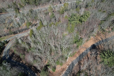 199 Broad Hill Rd, Granby, CT 06090 - photo 4