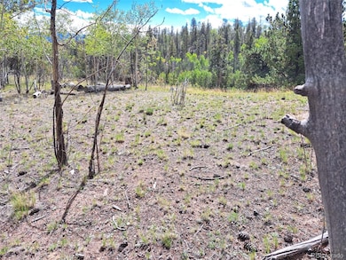 6452 Remington Rd, Como, CO 80456 - photo 3