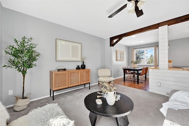 4355 S Eagle Cir, Aurora, CO 80015 - photo 6