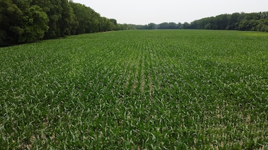 0 Levee Rd, Fults, IL 62244 - photo 4