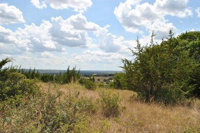 Lot 15 N Spies Ridge Dr unit 15, Fredericksburg, TX 78624 - photo 4